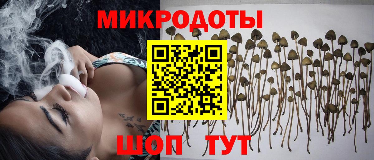 Галлюциногенные грибы GOLDEN TEACHER  Ачинск 