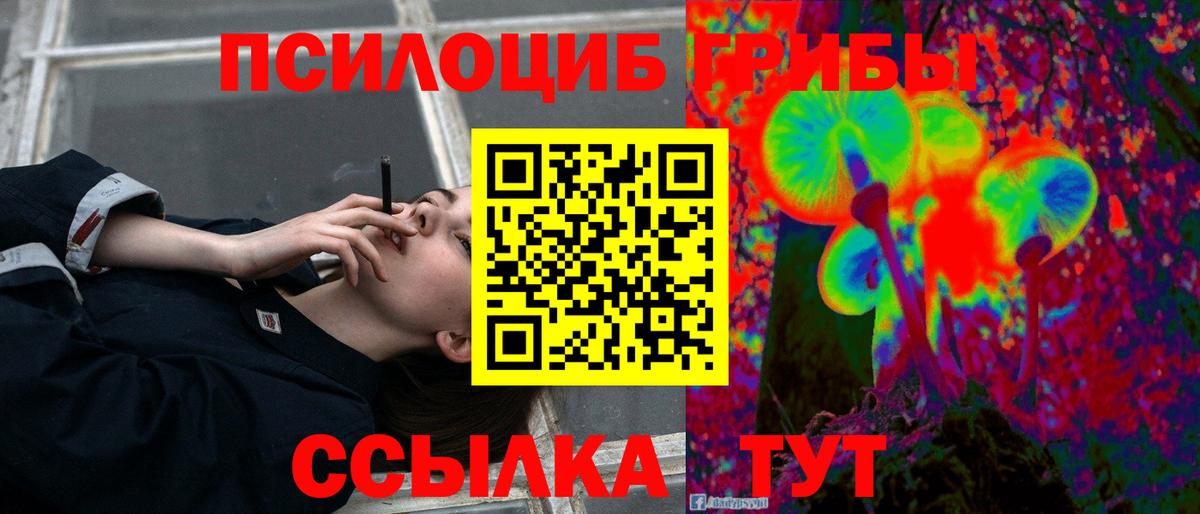 Галлюциногенные грибы Psilocybine cubensis Ачинск